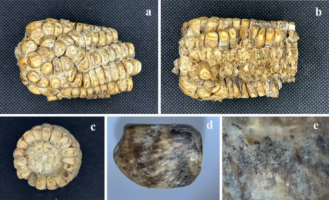 Figure 45